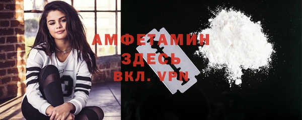 ПСИЛОЦИБИНОВЫЕ ГРИБЫ Верея
