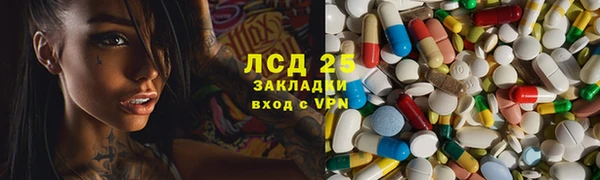 ПСИЛОЦИБИНОВЫЕ ГРИБЫ Верея