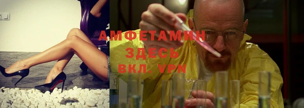 ПСИЛОЦИБИНОВЫЕ ГРИБЫ Верея