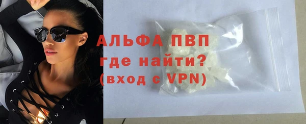 ПСИЛОЦИБИНОВЫЕ ГРИБЫ Верея