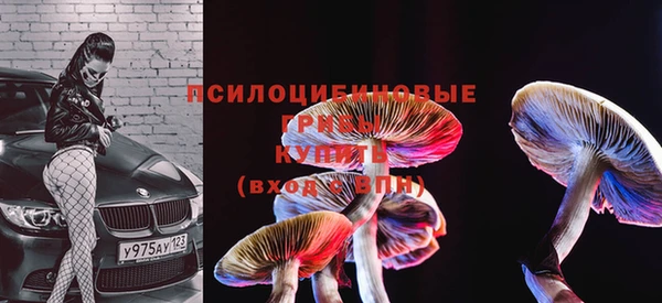 ПСИЛОЦИБИНОВЫЕ ГРИБЫ Верея
