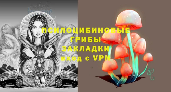 ПСИЛОЦИБИНОВЫЕ ГРИБЫ Верея