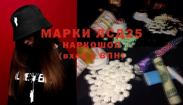 ПСИЛОЦИБИНОВЫЕ ГРИБЫ Верея