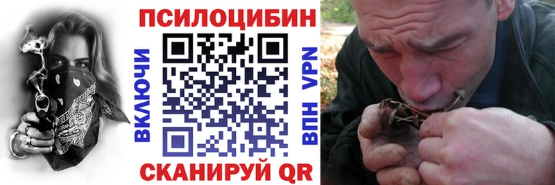 Псилоцибиновые грибы Cubensis  Яровое 